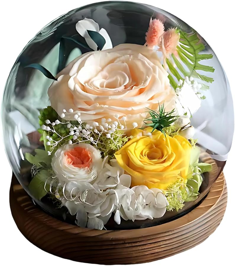 قبة زهرة الورد الشمبانيا المجففة يدويًا مع قاعدة خشبية هدية لعيد الحب والتخرج - Image 1